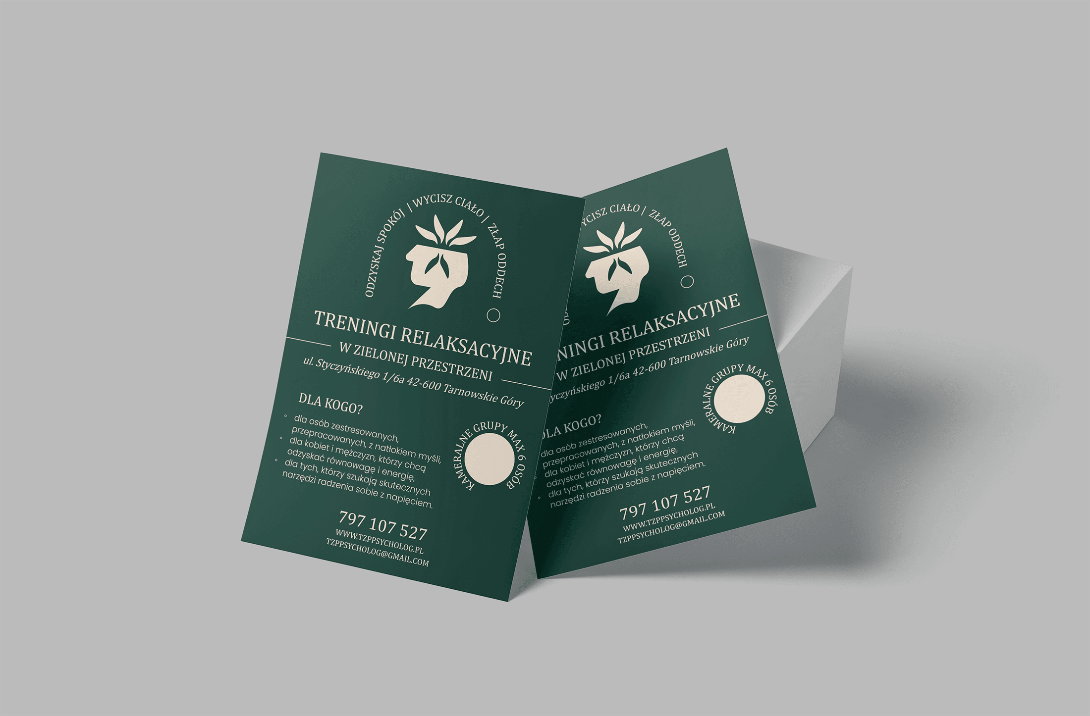 Projekt oferty usług dla branży psychologa